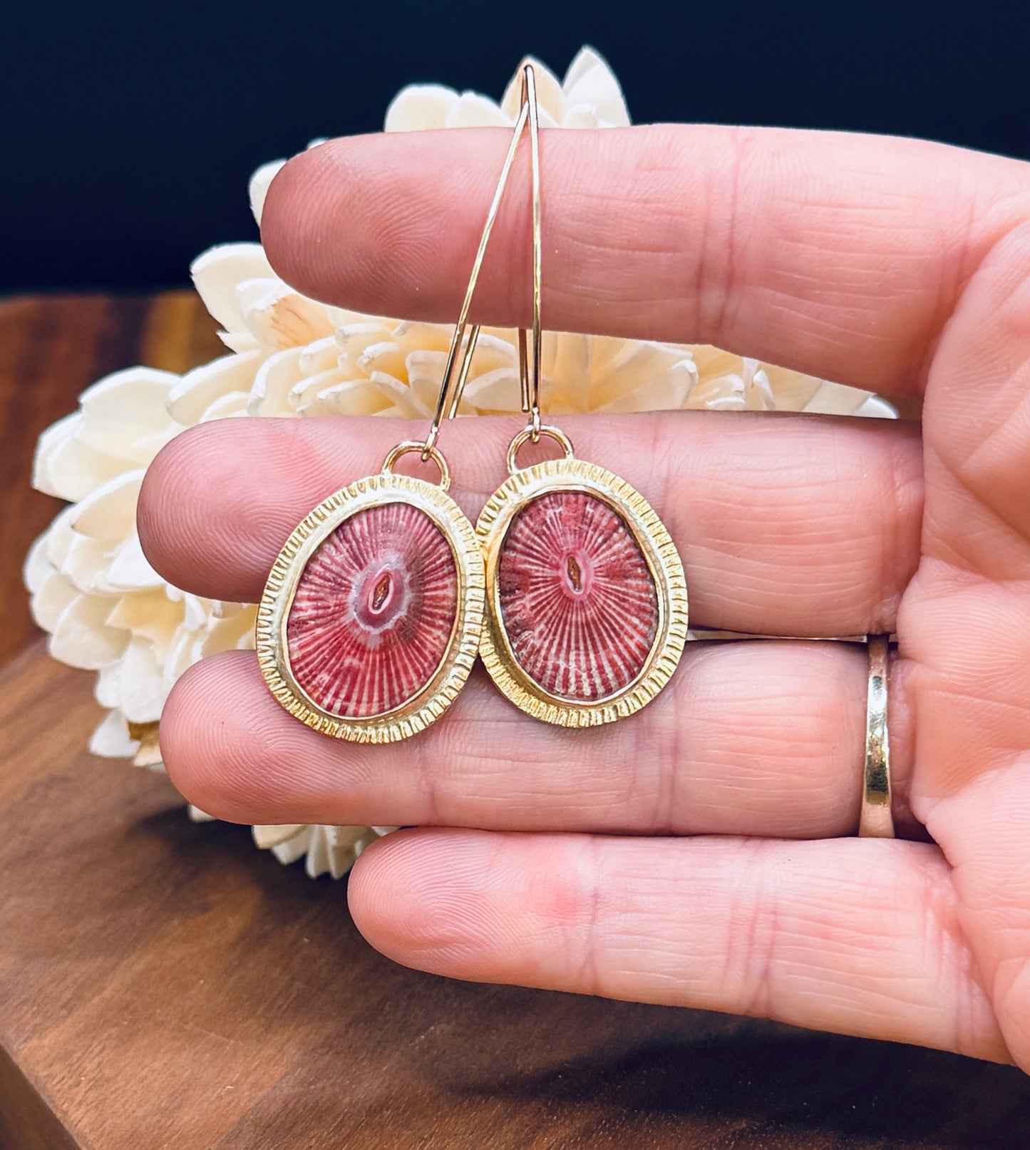 Pink Limpet Shell Gold Fill Earrings