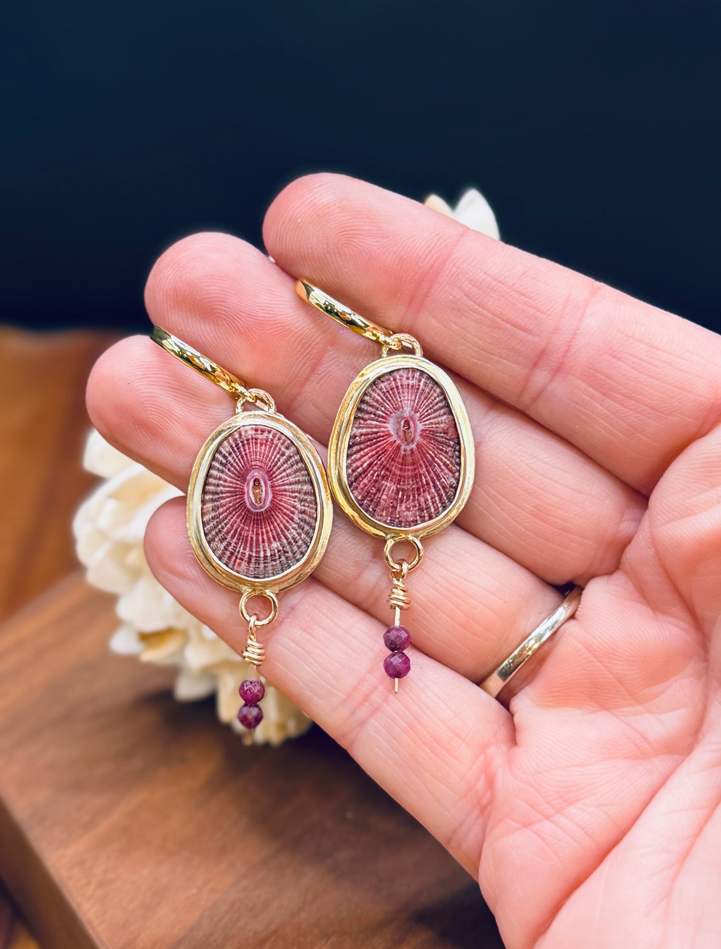 Gold Fill Pink Limpet Shell and Ruby Huggie Earrings
