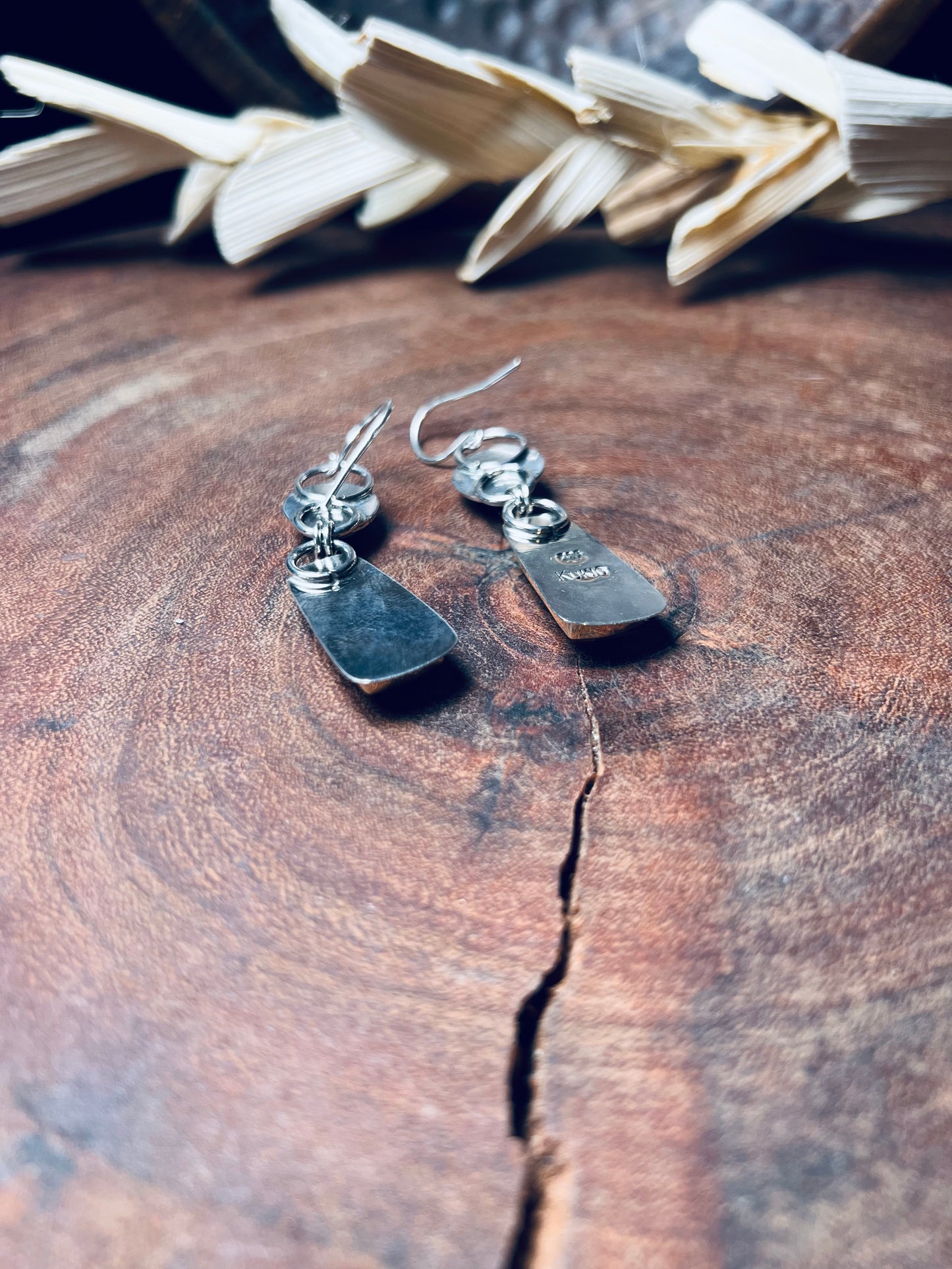Smokey Petrified Wood and Teal Moss Kyanite Earrings