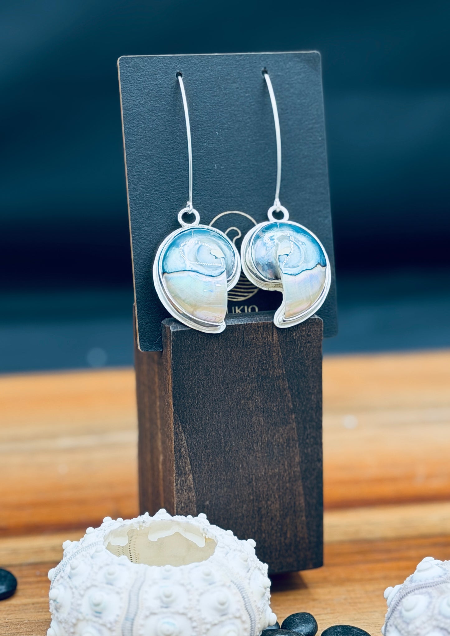 Sterling Silver Nautilus Tiger Eye Shell Earrings