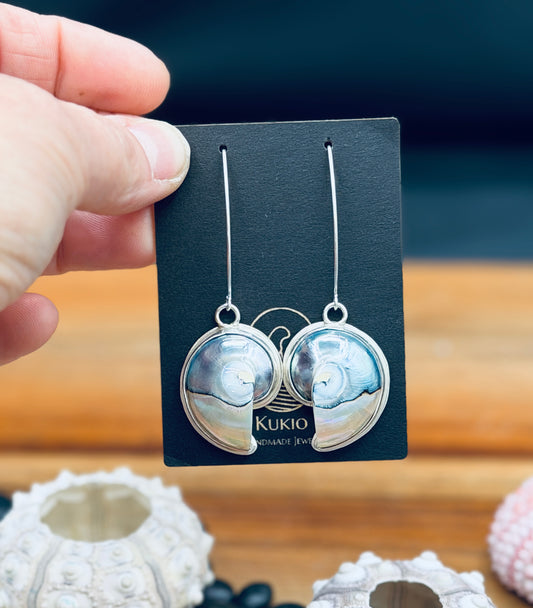 Sterling Silver Nautilus Tiger Eye Shell Earrings