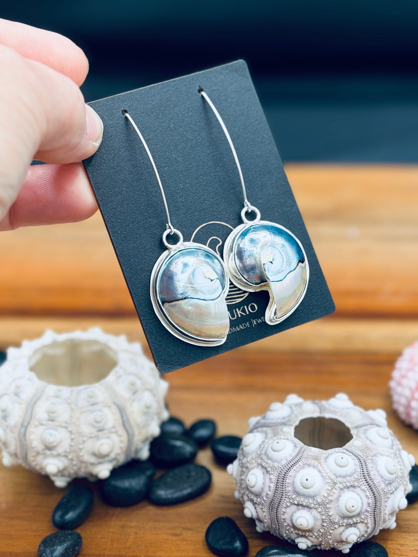 Sterling Silver Nautilus Tiger Eye Shell Earrings
