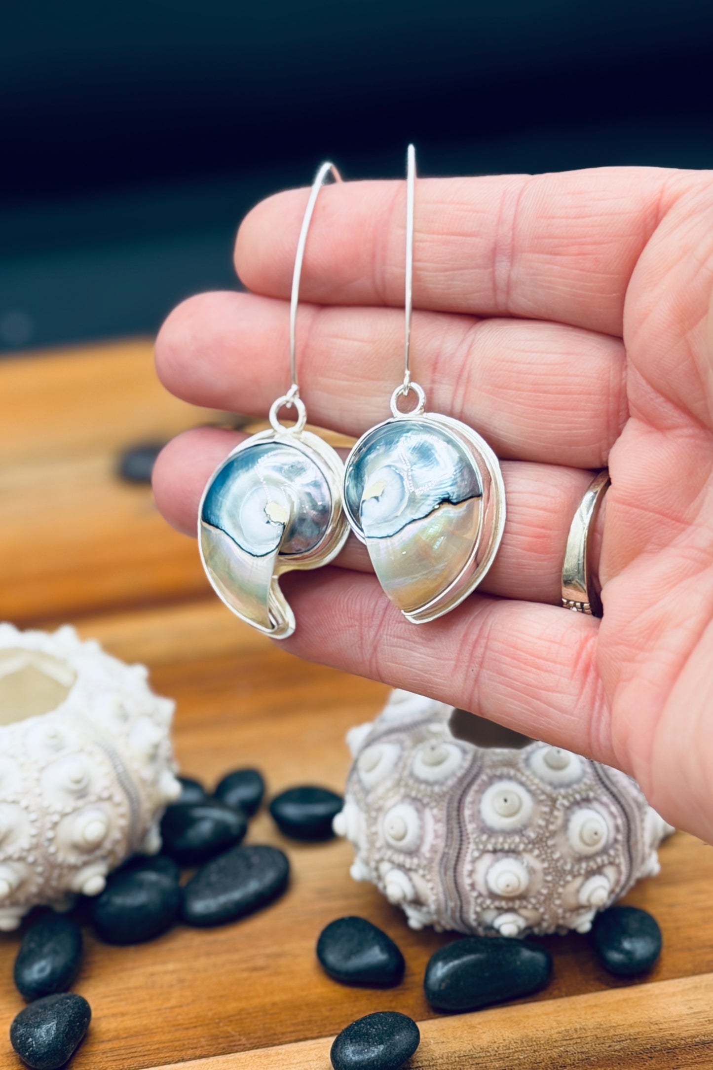 Sterling Silver Nautilus Tiger Eye Shell Earrings