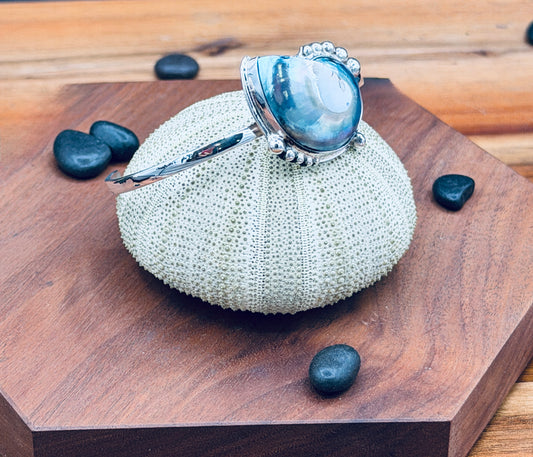 Sterling Silver Nautilus Shell Cuff