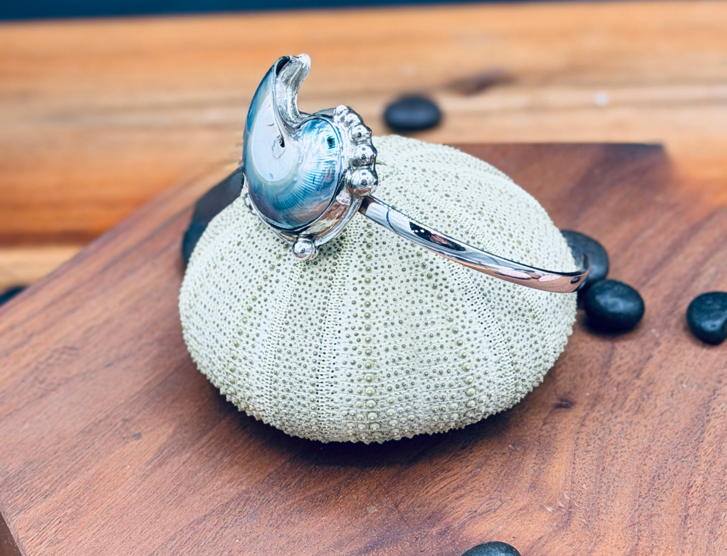 Sterling Silver Nautilus Shell Cuff