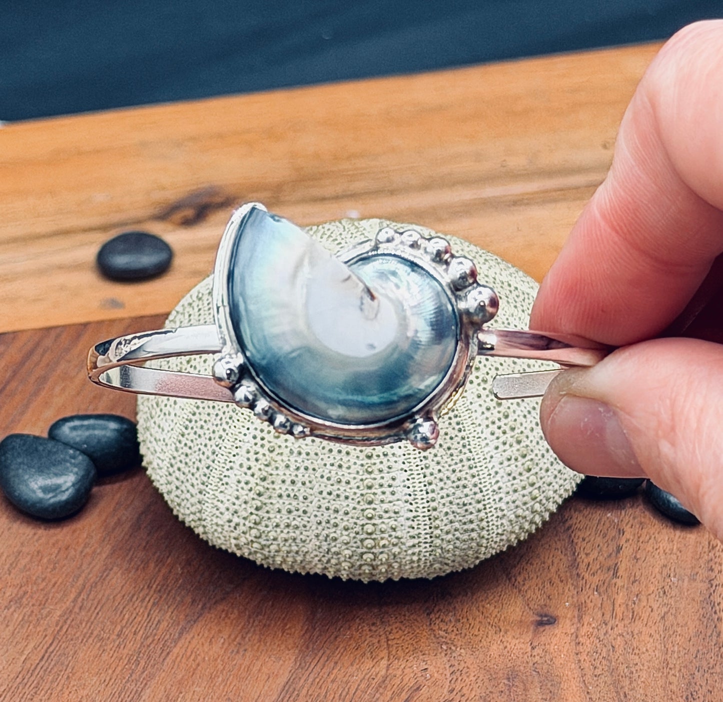 Sterling Silver Nautilus Shell Cuff