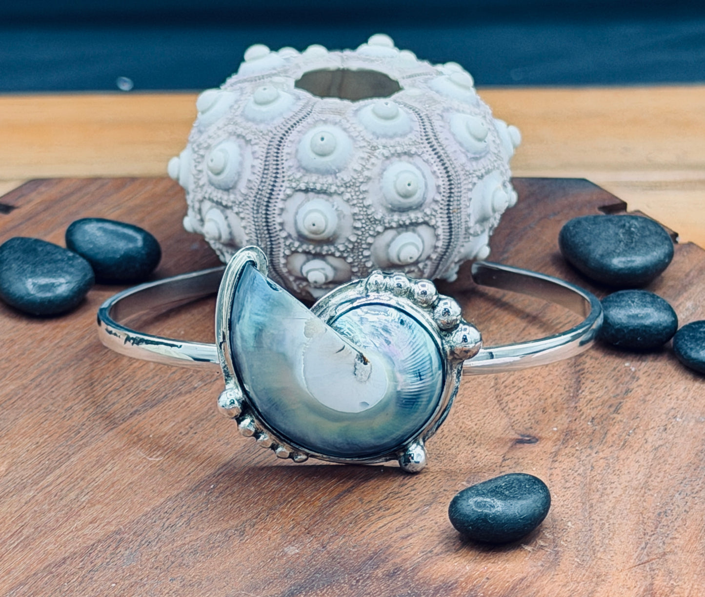 Sterling Silver Nautilus Shell Cuff