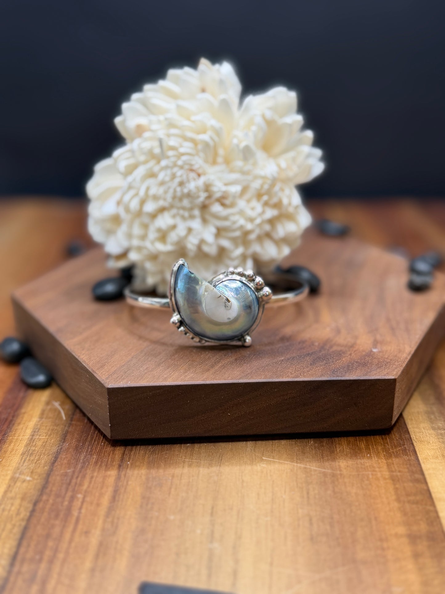 Sterling Silver Nautilus Shell Cuff