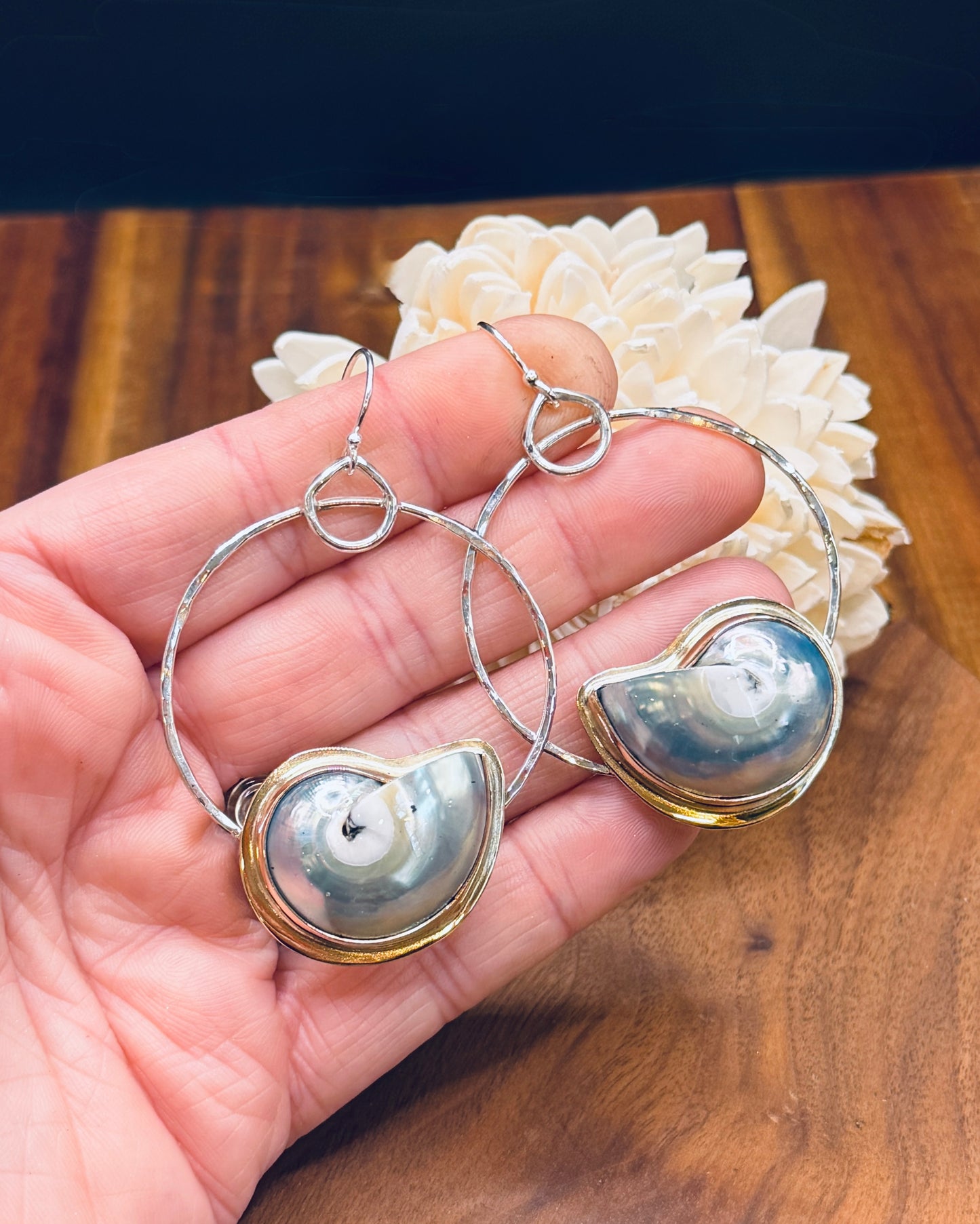 Sterling Silver Hoop Nautilus Shell Earrings