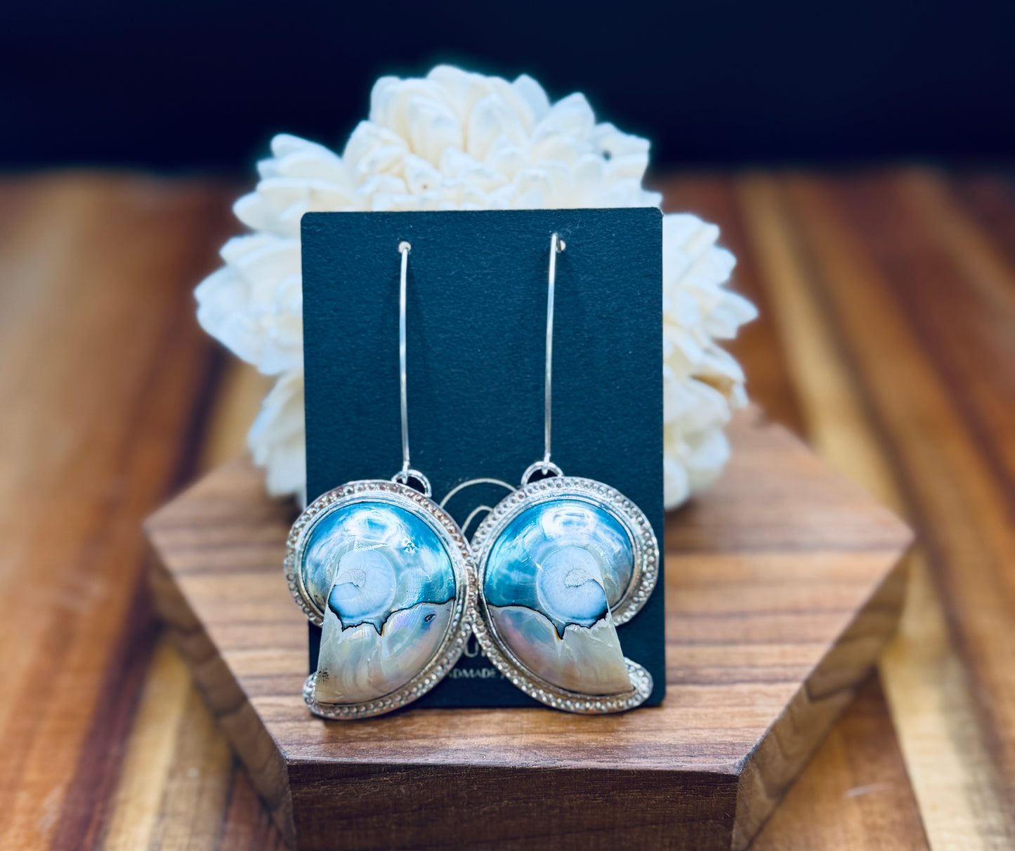 Sterling Silver Nautilus Shell Patterned Earrings