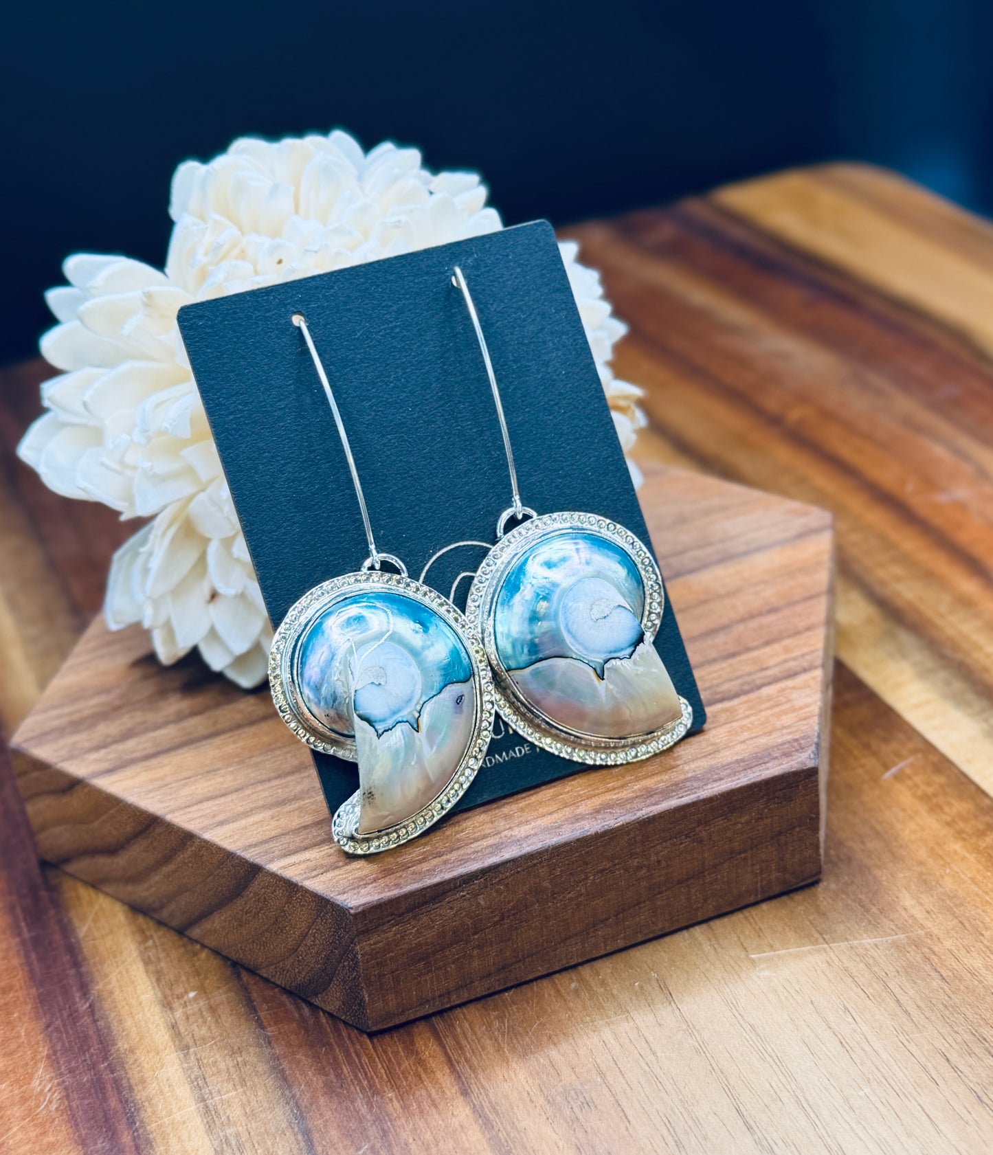 Sterling Silver Nautilus Shell Patterned Earrings