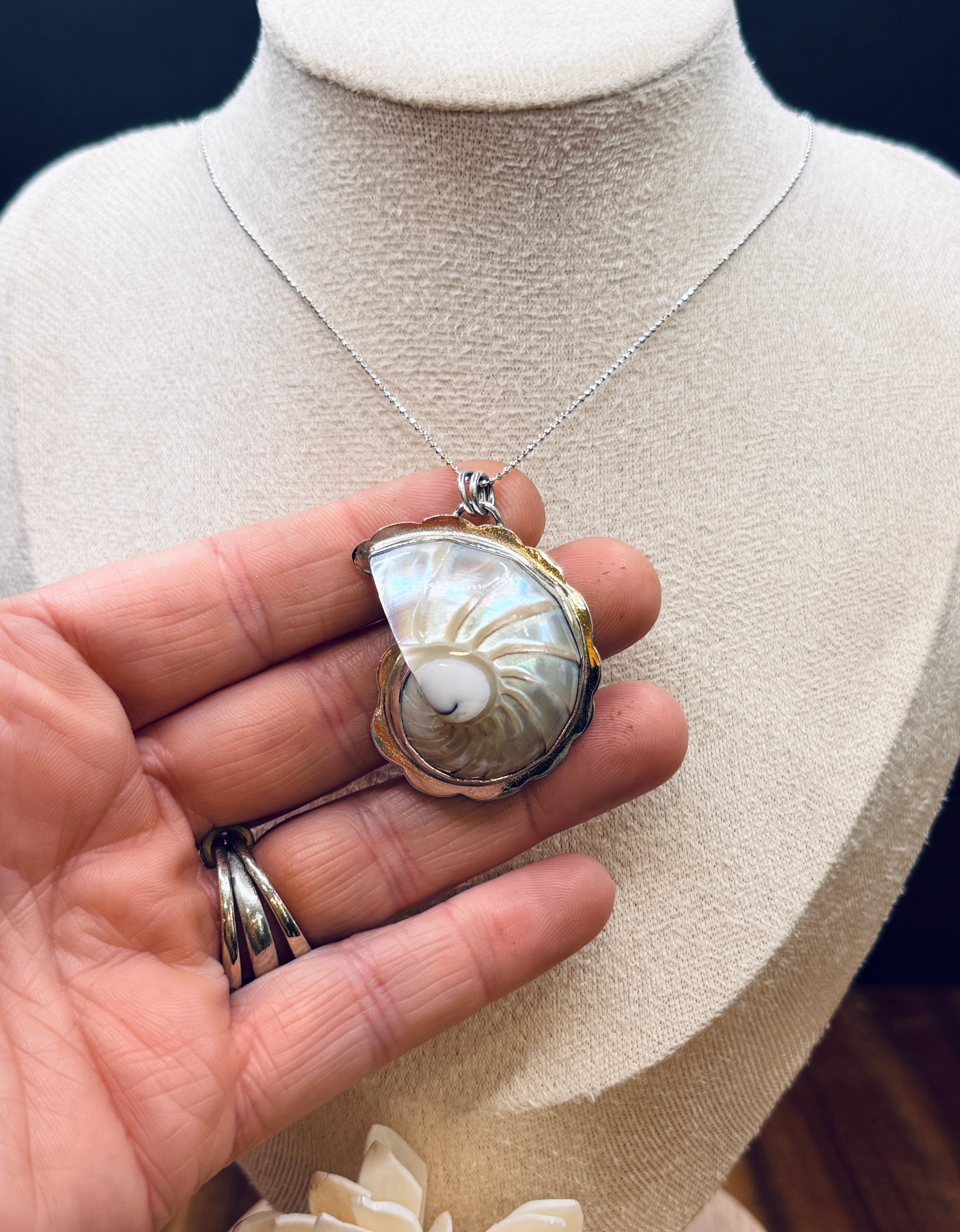Pearlized Nautilus Shell Sterling Silver Pendant – Kukio Jewelry
