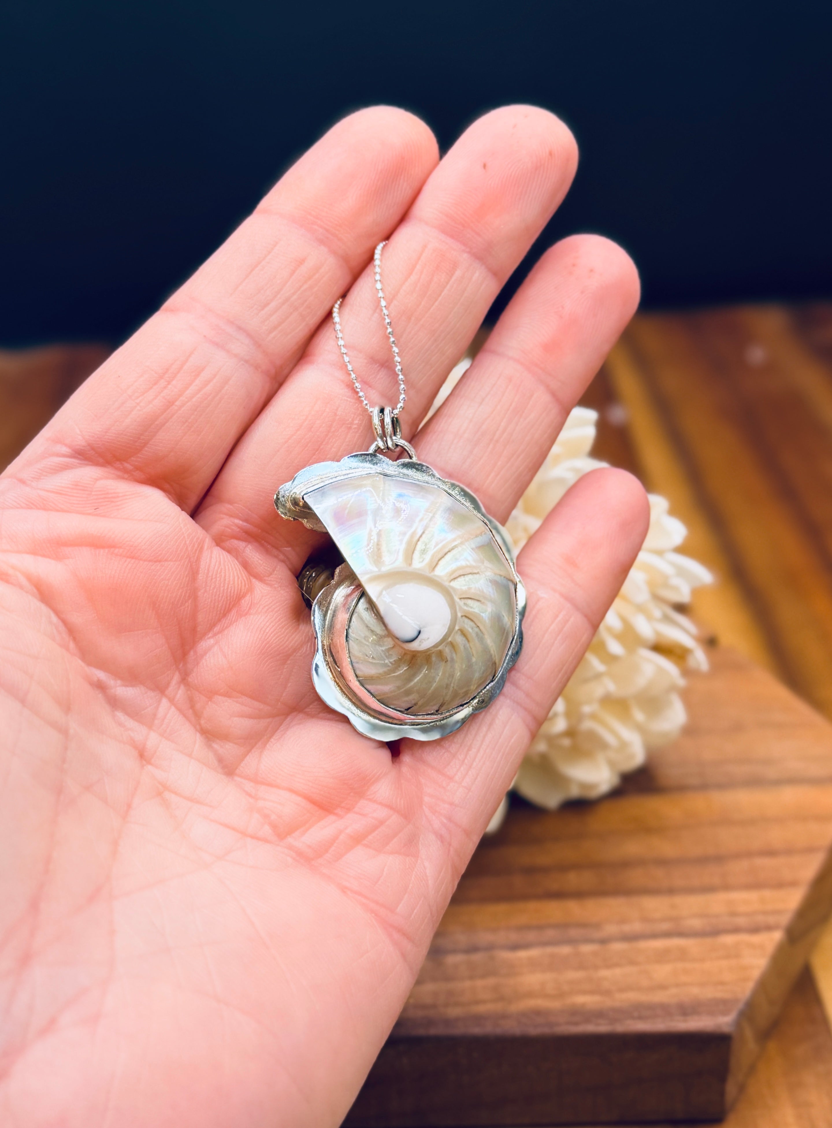 Pearlized Nautilus Shell Sterling Silver Pendant – Kukio Jewelry