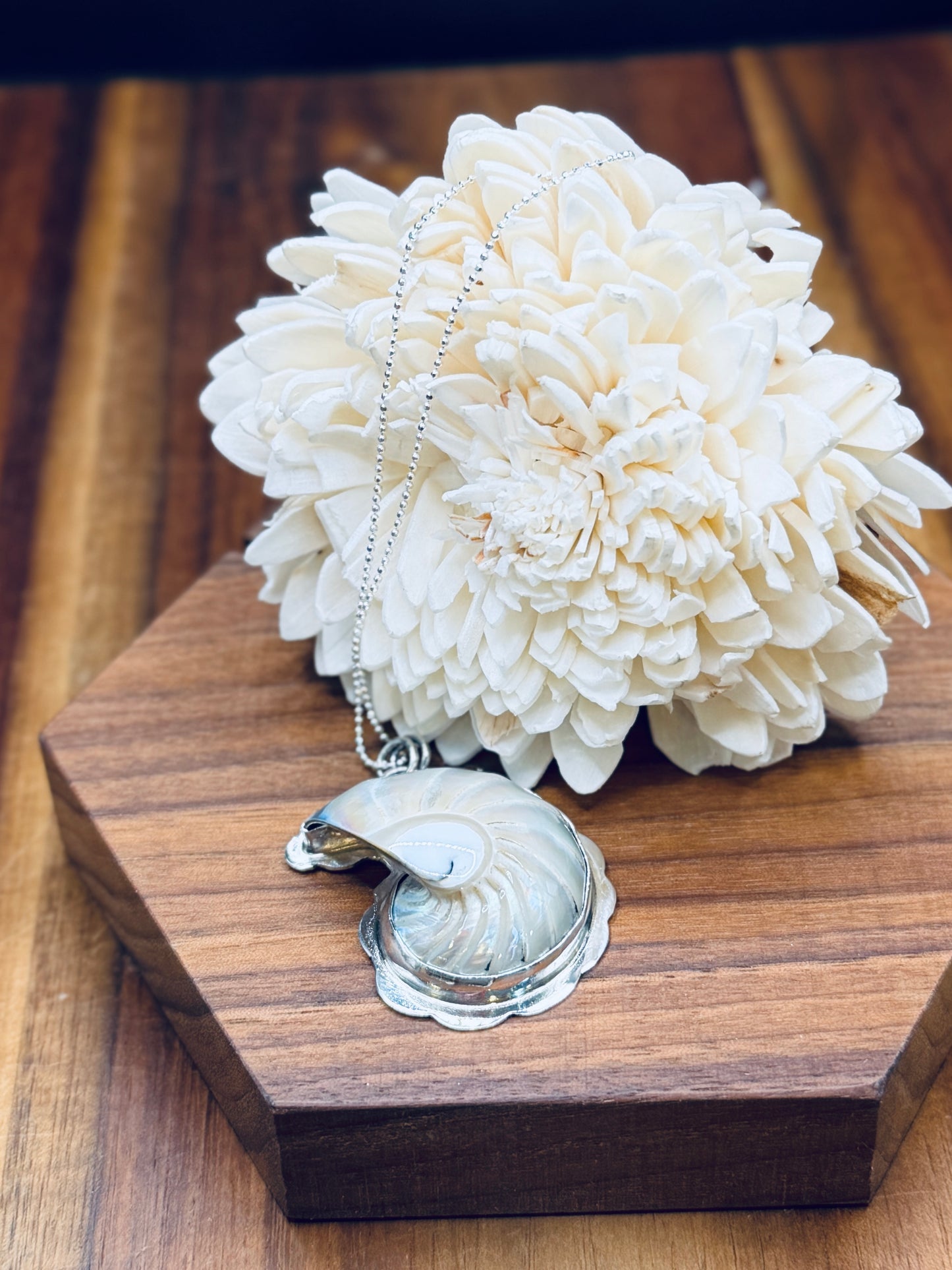 Pearlized Nautilus Shell Sterling Silver Pendant