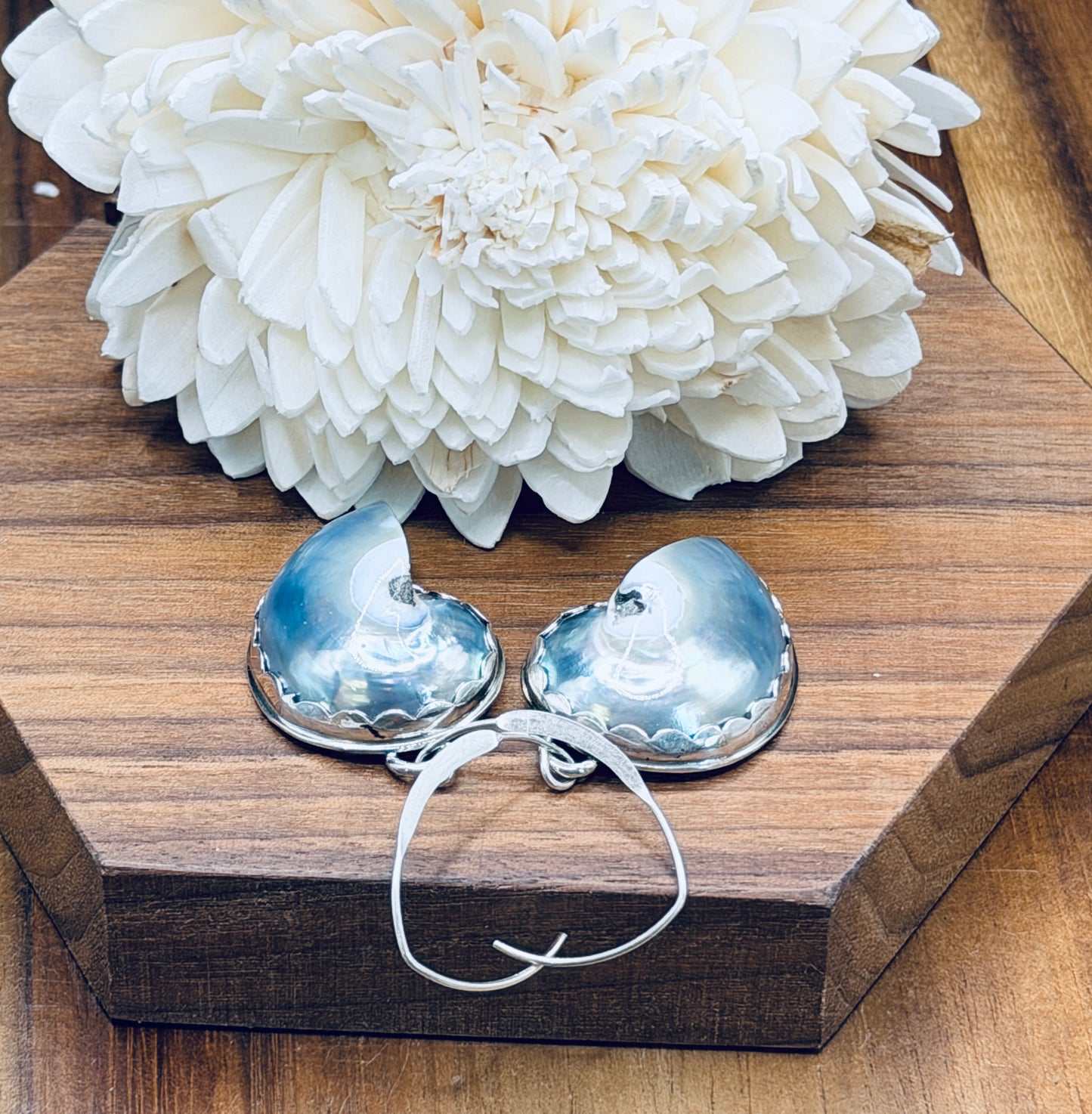 Sterling Silver Nautilus Shell Earrings