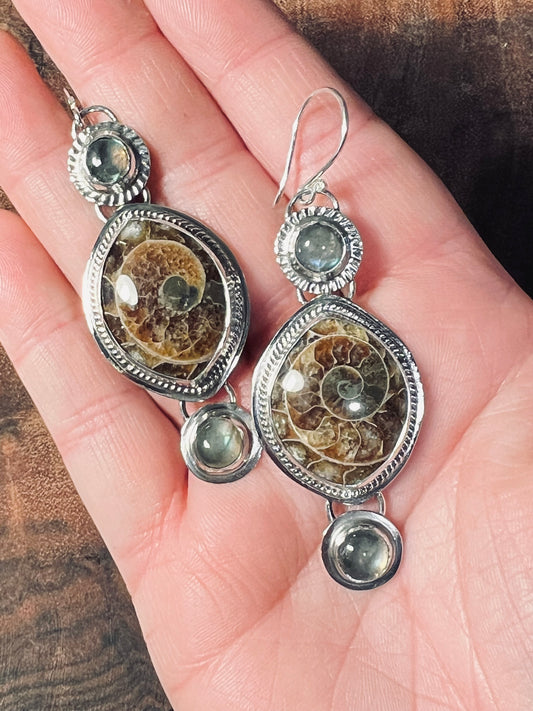 Ammonite Fossil and Labradorite Sterling Silver Dangle Earrings